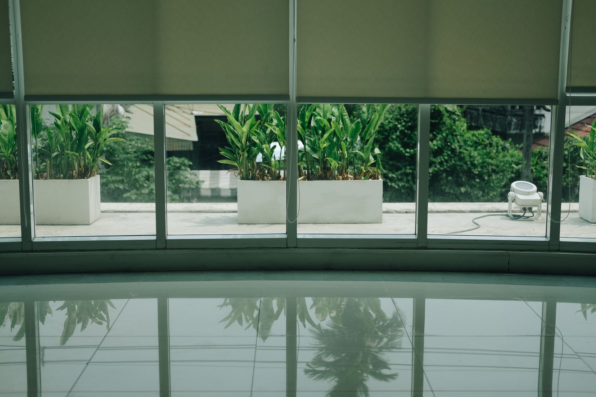 Automated roller shades in panel windows in a modern home with plants and trees. Wholesale Blind Factory
