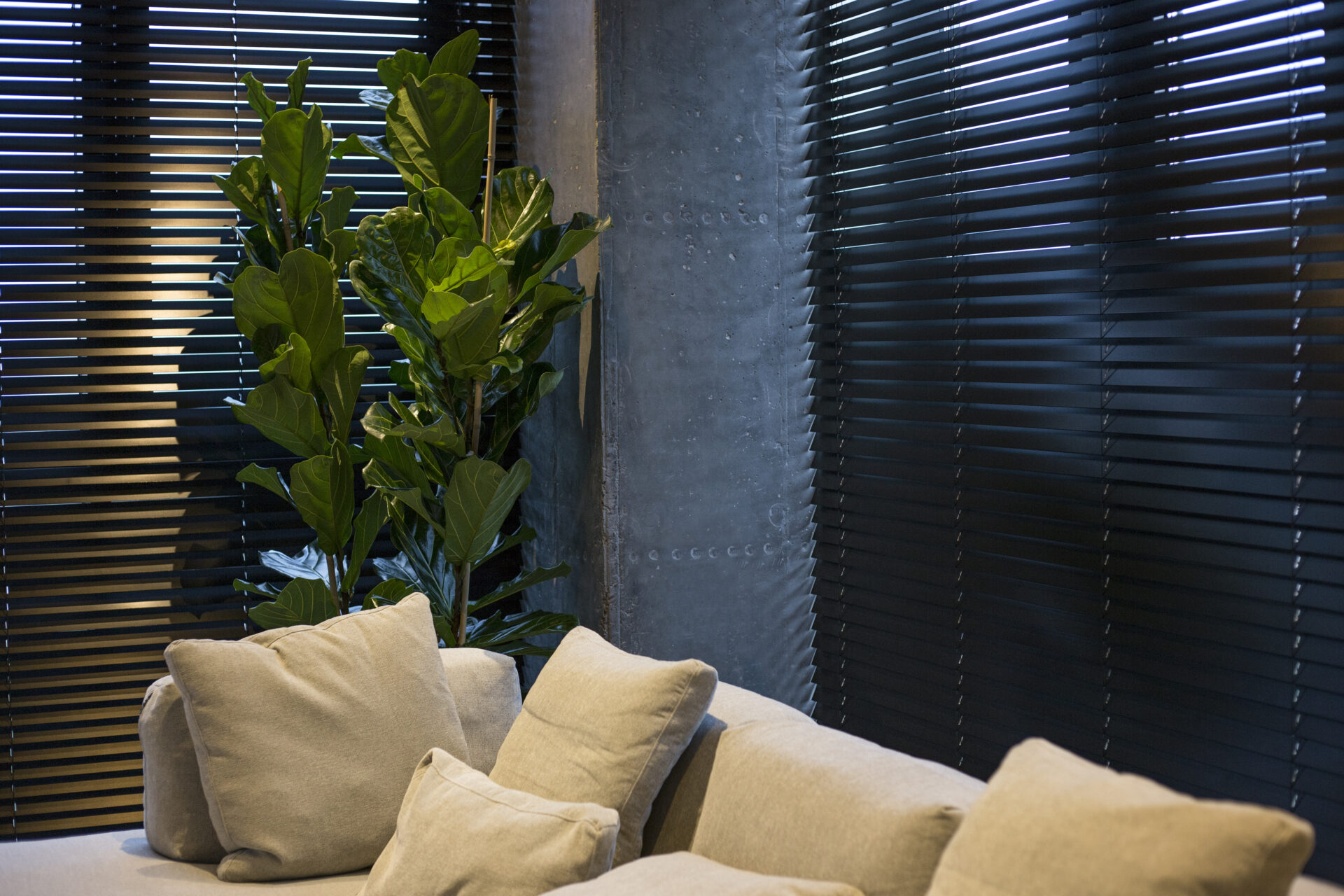 Venetian blinds closed in the living room with beige sofa and plant. Wholesale Blind Factory