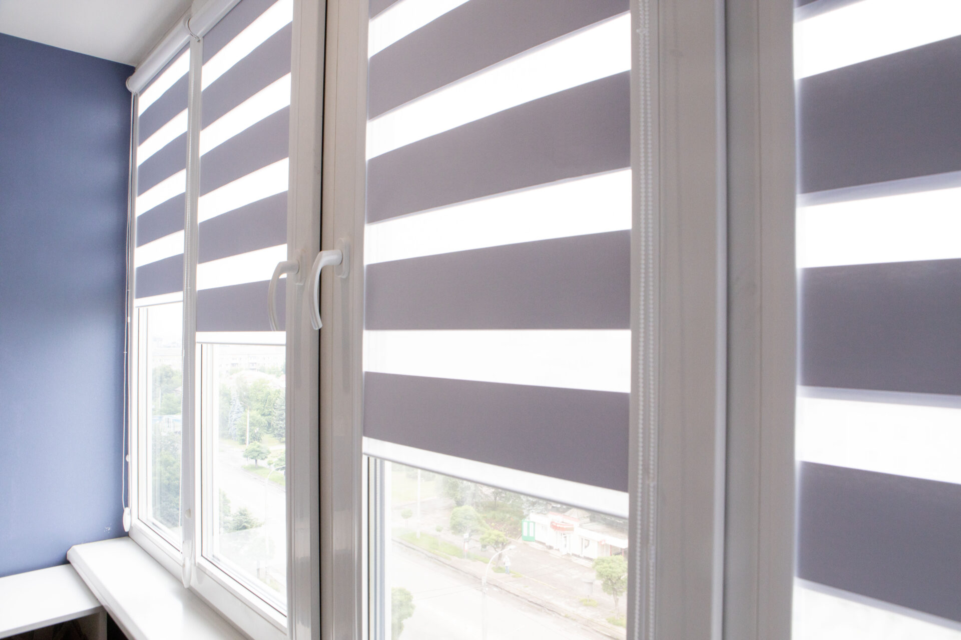 Office window shades. Zebra shades for lighting range control. Wholesale Blind Factory